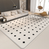 地毯客厅2024年新款卧室床边毯沙发茶几毯吸水地垫2556