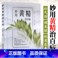 妙用黄精治百病 王维恒 中国科学技术出版社 适合百姓养生保健参考的食疗科普书 介绍了黄精的性味功效药用保 [正版]妙用黄