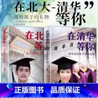 在北大等你+在清华等你全套2册 [正版]在北大等你+在清华等你全套2册 中高考学习窍门 清华北大不是梦清华学子高效学习方