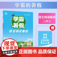 24秋学霸的暑假 阅读集训 语文二升三