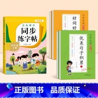 [四年级下册]同步练字帖+优美句子+好词好句好段 [正版]四年级下册同步字帖练字帖人教版4下学期语文写字课课练每日一练小