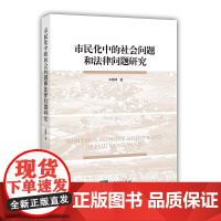 正版 市民化中的社会问题和法律问题研究 王慧博 知识产权出版社 农民 城市化 研究