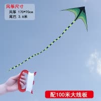 微风易飞风筝新款大原风筝三角风筝大型成人初学者儿童风筝创意 三维工匠 成人款/2米大草原+10米黑绿飘尾(仅风筝)