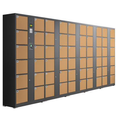 攸形扫码存包柜60门4250*460*1800mm台