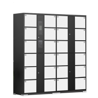 东都誉慧采 智能电子存包柜 24门人脸识别 台