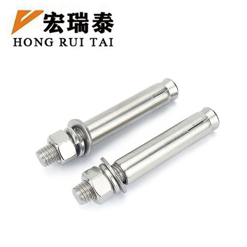 宏瑞泰 不锈钢膨胀螺丝 4.8级 M10*100 个