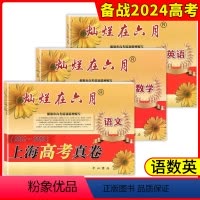 2012-2023上海高考真卷 语数英全3本 上海高考真卷 语数英任选 [正版]2024灿烂在六月上海高考真卷语文数学英