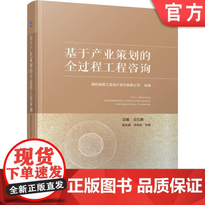 正版 基于产业策划的全过程工程咨询 国机陆原工程设计研究有限公司 产业咨询 政策分析 行业研究 市场调研 项目规划