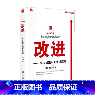 [正版]改进 高成长组织的系统原则 丁晖等 著 管理
