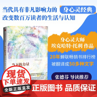 当下的力量珍藏版 埃克哈特托利著 堪称心灵读物经典,心灵领域作家张德芬,全球500多万册!