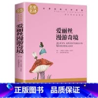 [正版]爱丽丝漫游奇境 名家名译 漫游奇境记漫游仙境三年级四年级书奇遇记 课外书小学生必读图书读物书籍阅读