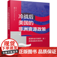 冷战后美国的非洲资源政策 美国利益与刚果(金)资源战争关系研究政治理论