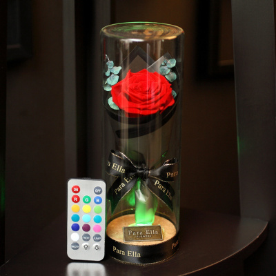 永生花带灯许愿瓶玫瑰花玻璃罩礼盒情人节创意礼品
