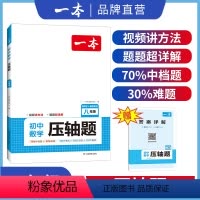压轴题 八年级/初中二年级 [正版]八年级数学压轴题2024初中数学有理数方程初二数学必刷题8年级上下册通用数学专题训练