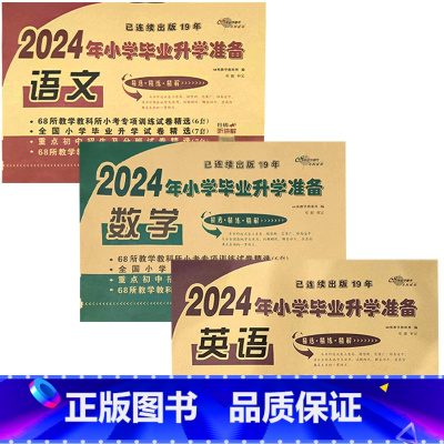 小学毕业升学准备[语文数学英语] 小学升初中 [正版]2024年小升初真题卷语文数学英语小学升初中测试卷小学毕业总复习资