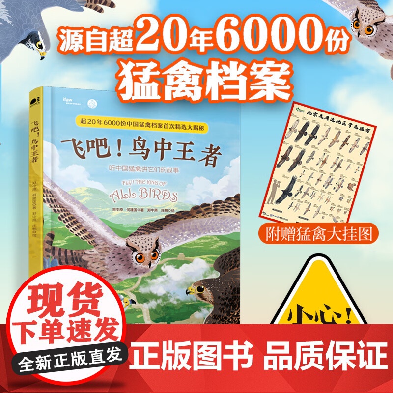 飞吧鸟中王者 听中国猛禽讲它们的故事给孩子的儿童读物课外阅读书学习方法学习技巧教育孩子独立性习方法书图书书籍书排行榜