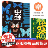 全2册 蟲虫虫洞 一座书本上的虫虫艺术博物馆 精装珍藏版昆虫百科全书动物大科普儿童读物彩图小学生一二三年级阅读课外书必读