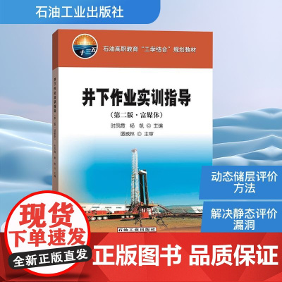 井下作业实训指导(第二版.富媒体) 时凤霞,杨帆 编 化学工业专业科技 正版图书籍 石油工业出版社