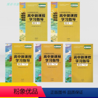 语文 必修下册 [正版]河南大象版高中新课程学习指导语文必修上册下册选择性必修上中下册配人教版教辅高中生同步教辅资料辅导