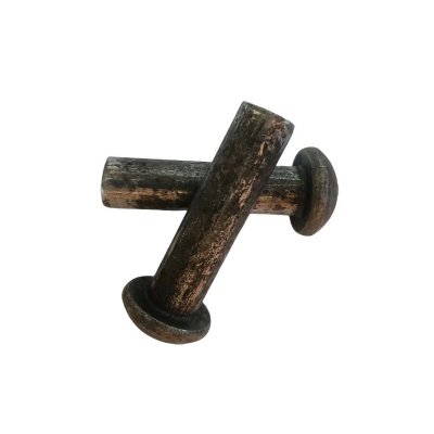 益莘 半圆头铆钉4.8级 M16*60 个