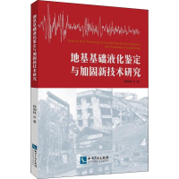 音像地基基础液化鉴定与加固新技术研究杨润林