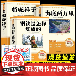 名著阅读丛书全3册 初中语文教科书配套书目 钢铁是怎样炼成的+骆驼祥子+海底两万里 赠阅读练习手册