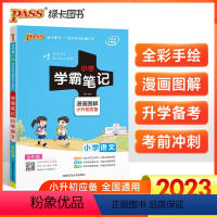 语文 小学通用 [正版]2023版绿卡图书PASS学霸笔记小学语文漫画图解小升初应备小学语文基础知识手册知识大全小学升学