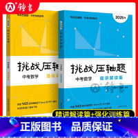 2025版[2册]中考数学 精讲精读篇+强化训练篇 九年级/初中三年级 [正版]2025新版挑战压轴题中考数学强化训练篇