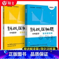 2025版[2册]中考数学 精讲精读篇+强化训练篇 九年级/初中三年级 [正版]2025新版挑战压轴题中考数学强化训练篇