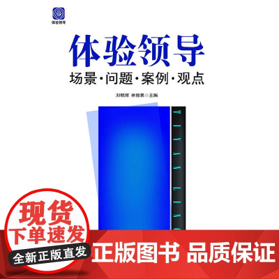 体验领导:场景。问题。案例。观点(2013版)