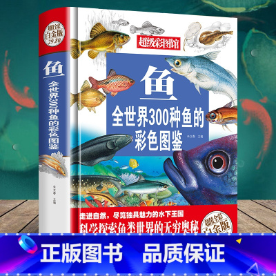 300种鱼的彩色图鉴 [正版]全世界300种鱼130种鸟的彩色图鉴全彩白金版 鱼类鉴赏大全 青少年鱼类认知书籍 鱼类大全