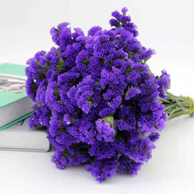 三维工匠云南勿忘我干花水晶草花束满天星风干diy客厅家居装饰插花真花紫色勿忘我40cm10支