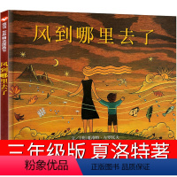 [正版]风到哪里去了三四年级阅读明天出版社儿童绘本夏洛特著信谊世界精选图画图书籍课外阅读小学生5他知道从少年来3不注音