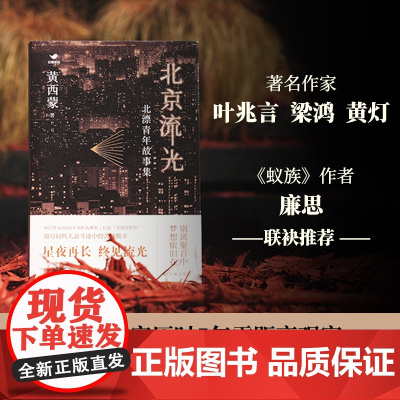 北京流光:北漂青年故事集 90后作家历时5年零距离观察,13张北漂浮世绘,道尽同代人奋斗途中的苦辣酸辛,星夜再长,终见流