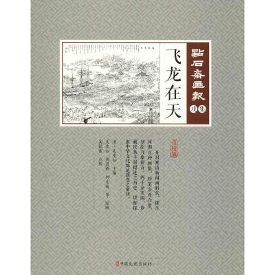 飞龙在天