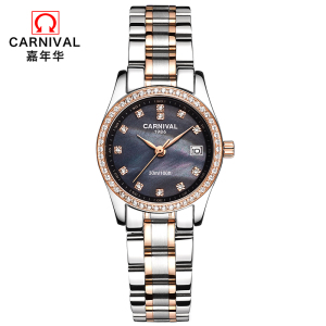 正品嘉年华Carnival手表女士石英表 女表水钻时尚休闲潮流简约防水表钢带带日历新款女表8061