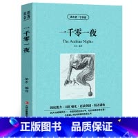 [正版]一千零一夜中英文双语版阿拉伯民间故事集中英对照中英文经典世界名著外国文学长篇小说英文版原版英语读物初高中生课外