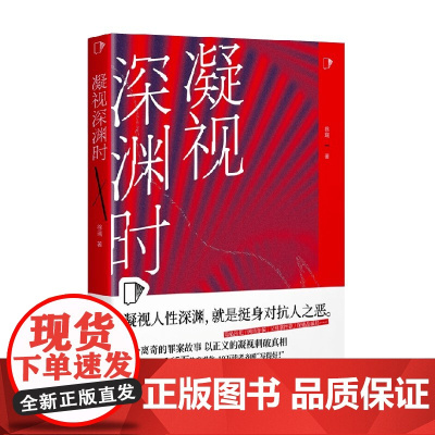 凝视深渊时 徐瑞 著 小说