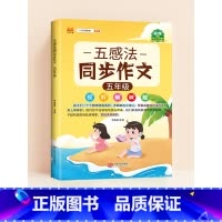 [五年级]五感法同步作文 小学通用 [正版]五感法写作文三到六年级扩句法加词法修辞法写作技巧小学生作文书大全三四五年级素