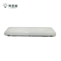 亮思能 LED三防净化灯 日光灯 LSN-ESB/个