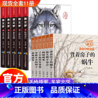 [正版] 杨红樱画本系列+沈石溪动物小说系列全集11册 狼王梦画本8-12岁小学生三四五六年级名师指导课外阅读书籍必读