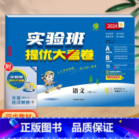 语文(人教版)。 三年级上 [正版]实验班提优大考卷一年级二年级三四五六年级上册语文数学英语人教版北师大苏教下册期中期末