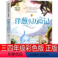 洋葱头历险记 [正版]洋葱头历险记三年级四年级书羊葱头历险记三四年级小学生课外阅读必读书籍儿童读物7-8-10-12岁故