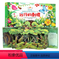 [正版]好好玩神奇生命立体书第二辑 远行的刺猬 儿童立体书3d翻翻书洞洞书籍0-2-3周岁幼儿绘本5-6-8岁益智启蒙
