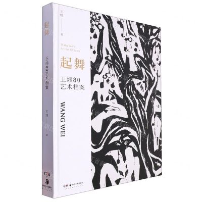 [N]起舞(王炜80艺术档案)(精)-9787535699558