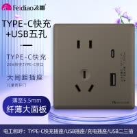 飞雕(FEIDIAO)超薄大板 开关插座格韵系列86型带开关插座面板墙壁电源插座 格韵荧光灰USB五孔+TYPE-C快充
