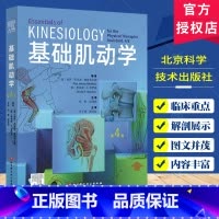 主图款—基础肌动学 第4版 [正版]基础肌动学 第4四版 肌肉骨骼系统的结构和功能 保罗杰克逊曼斯菲尔德 图谱肌动力学