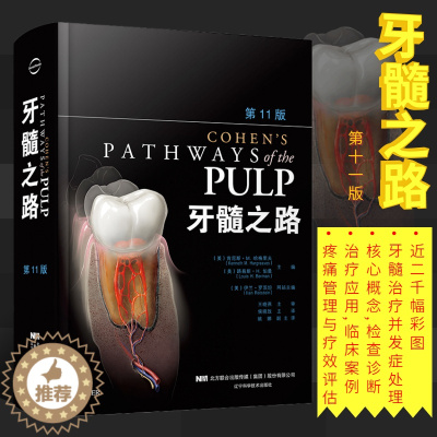 [醉染正版]正版 牙髓之路 第11十一版 牙体牙髓病学 临床牙髓再生技术 牙科治疗根管图谱 口腔书籍 医学类专业书籍