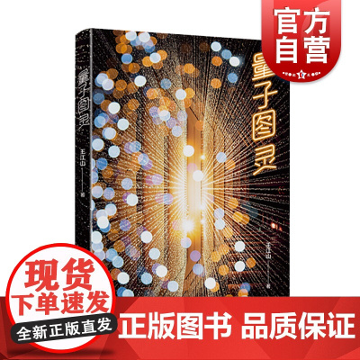 量子图灵 王江山著 科幻小说文学 子图灵关于有关方面学习了解知识书籍类 上海文艺出版社