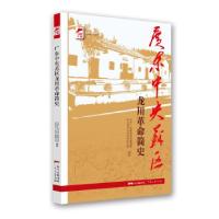 正版新书]广东中央苏区龙川革命简史中共广东省委党史研究室,中